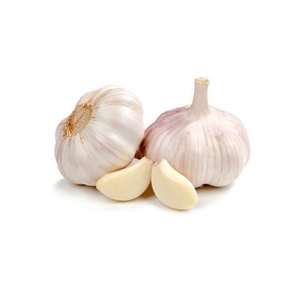 26 26