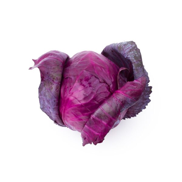 34_03 34_03